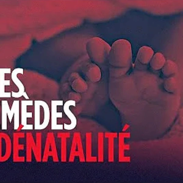 Causes et remèdes à la grande dénatalité - D. Cosandey - # politique