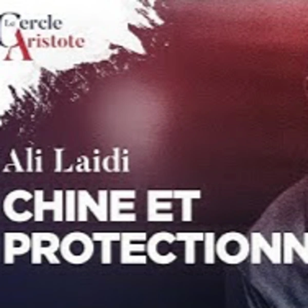 Chine, USA, protectionnisme : l'œil de l'intelligence économique - A. Laidi - # politique