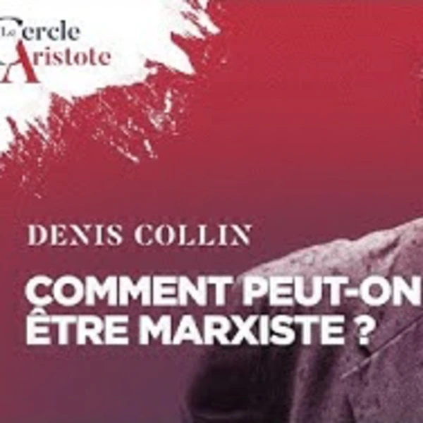 Comment peut-on être marxiste ? - D. Collin - # politique
