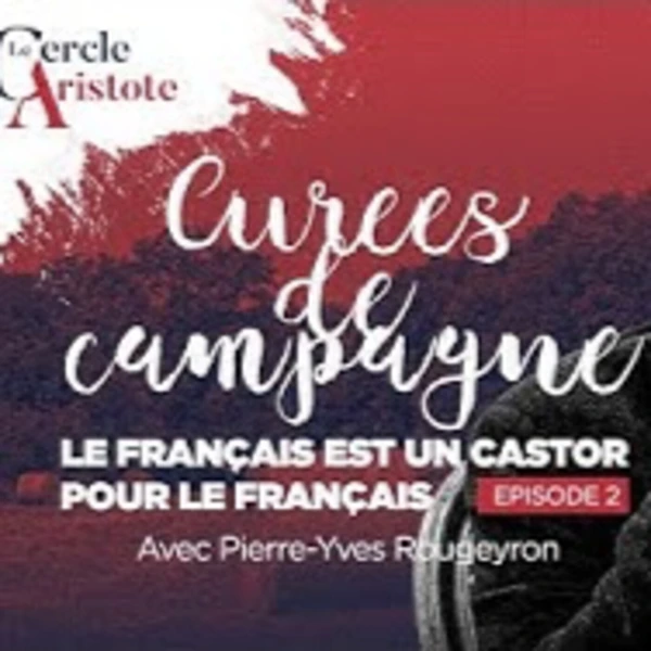 Curées de campagne #2 : Le français est un castor pour le français - P.Y. Rougeyron - # politique