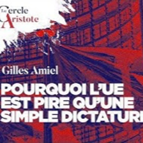 Dans l'Union européenne personne ne vous entendra crier - G. Amiel - # politique