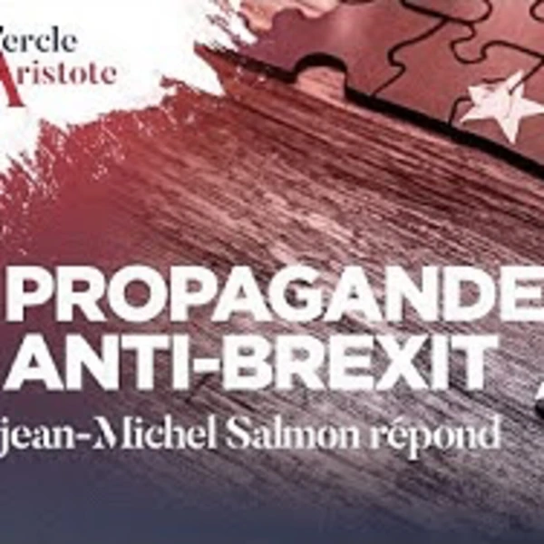 France 5 désinforme sur le Brexit - J.M. Salmon - # politique