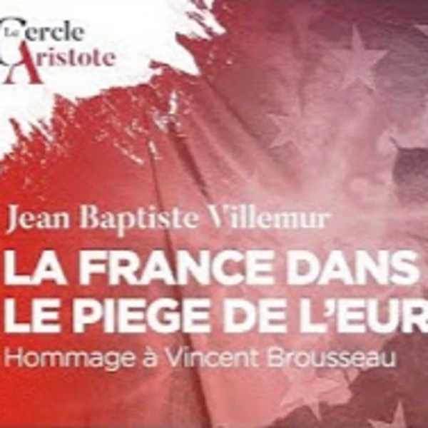 La France dans le piège de l'euro. Hommage à Vincent Brousseau - J.B. Villemur - # politique