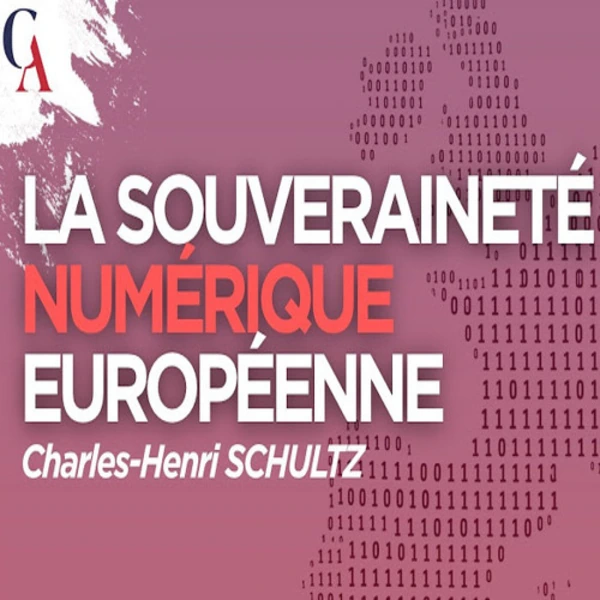 La souveraineté numérique européenne : histoire d’une idée idiote - C.H. Schultz - # politique
