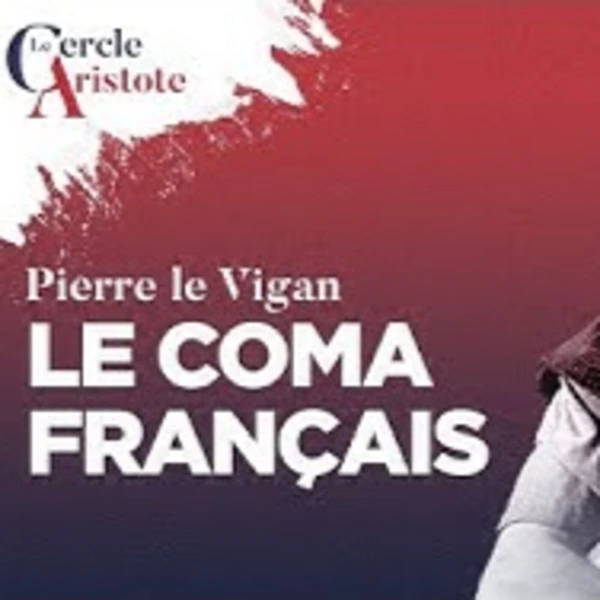 Le coma français - P. le Vigan - # politique