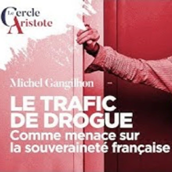 Le trafic de drogue comme atteinte à la souveraineté - M. Gandilhon - # politique