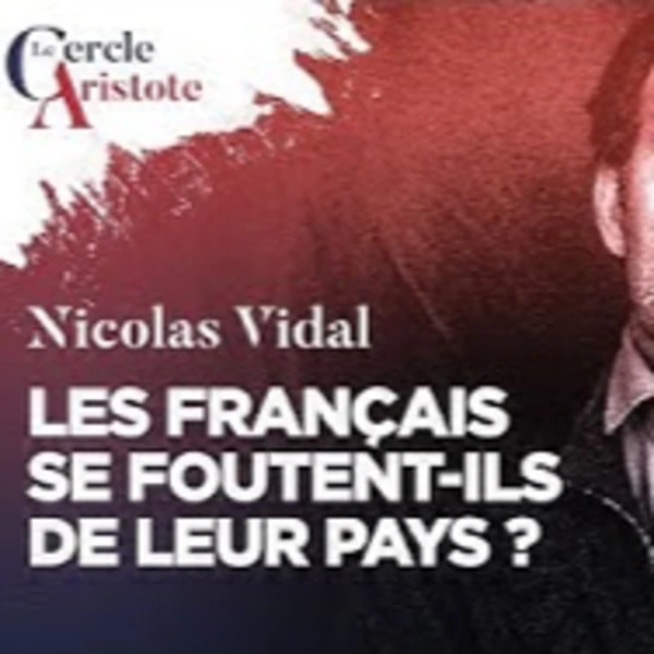 Les français se foutent-ils de leur pays ? - N. Vidal - # politique