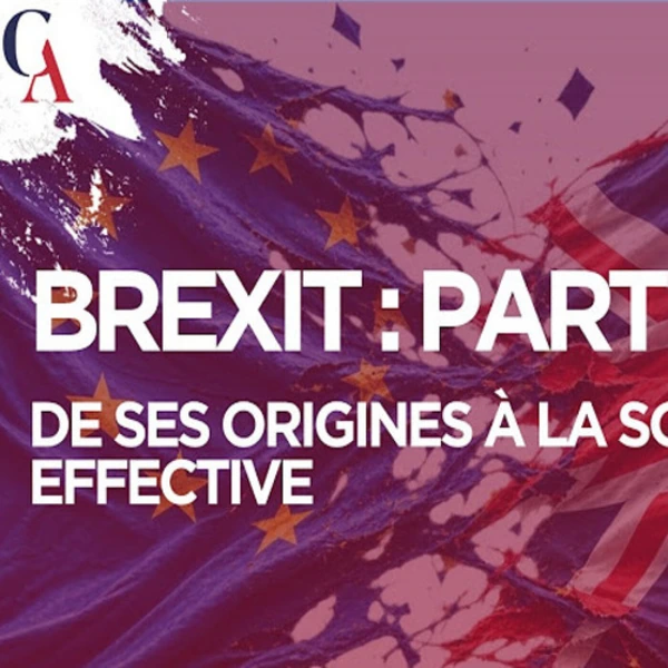 L'Histoire du Brexit au delà des mensonges - J.M. Salmon & P.Y. Rougeyron - # politique