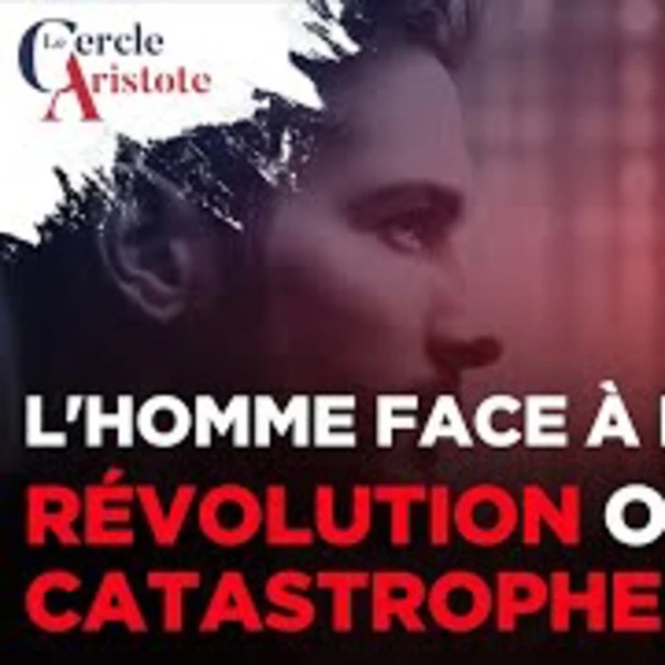 L'homme contre la machine : 400 ans d'affrontement - D. Collin - # politique