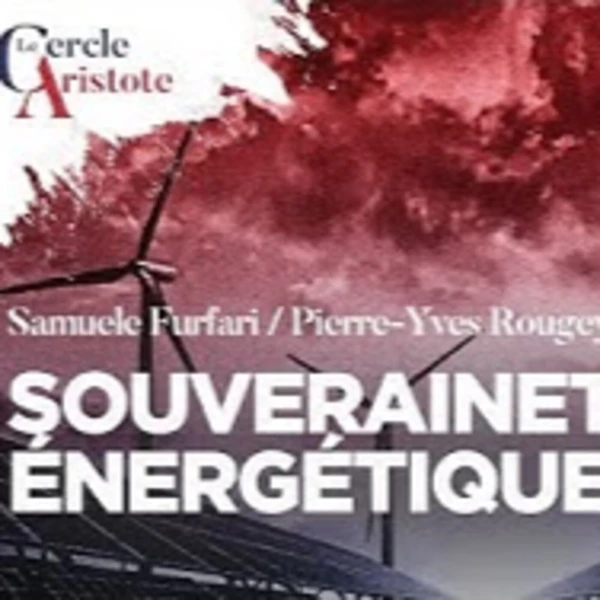 L'utopie hydrogène et la folie énergétique allemande - S. Furfari - # politique