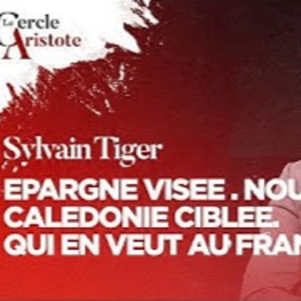 Main basse sur l'épargne, déstabilisation en Nouvelle Calédonie - S. Tiger - # politique
