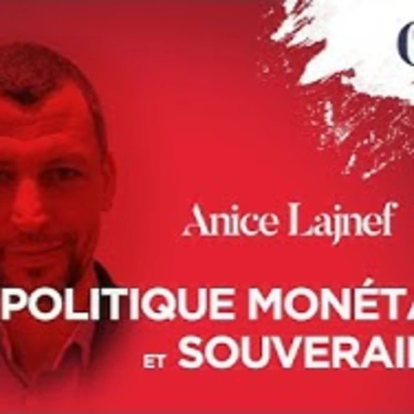 Politique monétaire et souveraineté - A. Lajnef - # politique