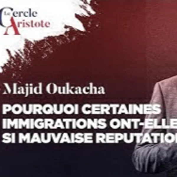 Pourquoi certaines immigrations ont-elles si mauvaise réputation ? - M. Oukacha - # politique