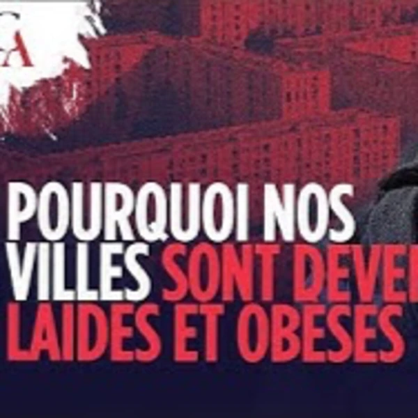 Pourquoi nos villes sont devenues laides et obèses ? - P. Le Vigan - # politique