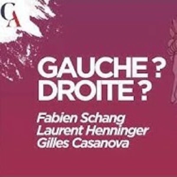 Quel avenir pour le clivage droite-gauche ? L. Henninger, F. Schang & G. Casanova - # politique
