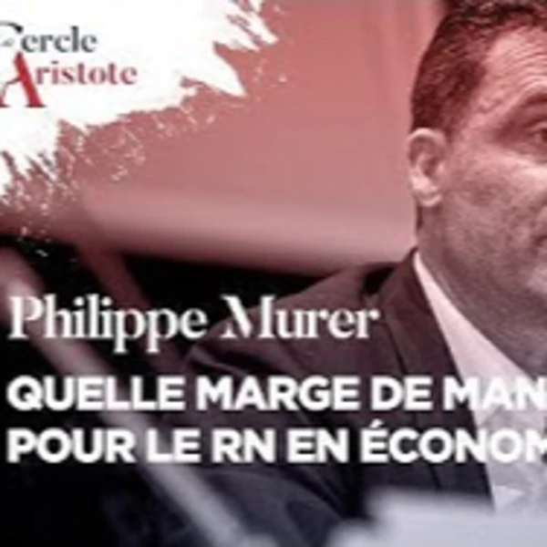 Quelles sont les marges du manœuvre du RN en cas de victoire ? - P. Murer - # politique