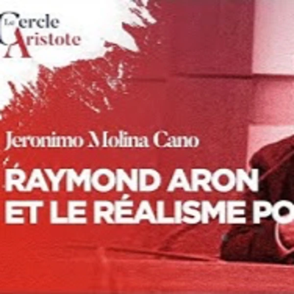 Raymond Aron penseur politique - J. Molina Cano - # politique