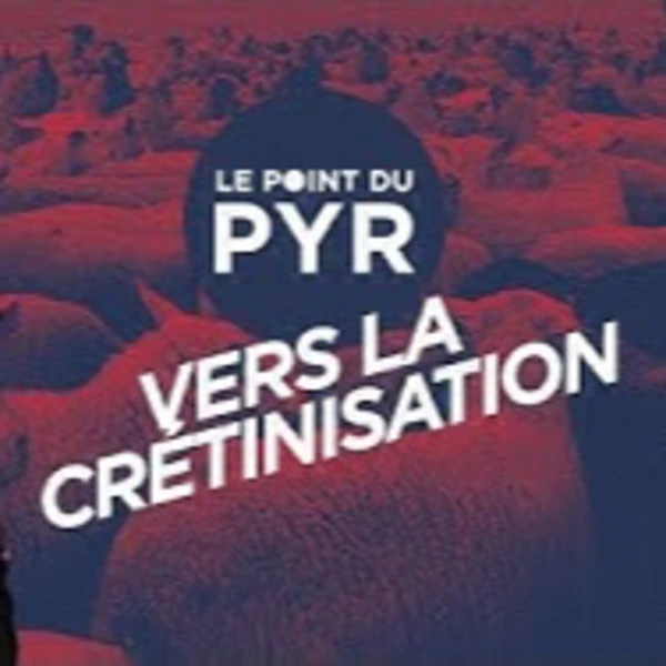 Sommes-nous de plus en plus crétins ? - P. Y. Rougeyron - # politique