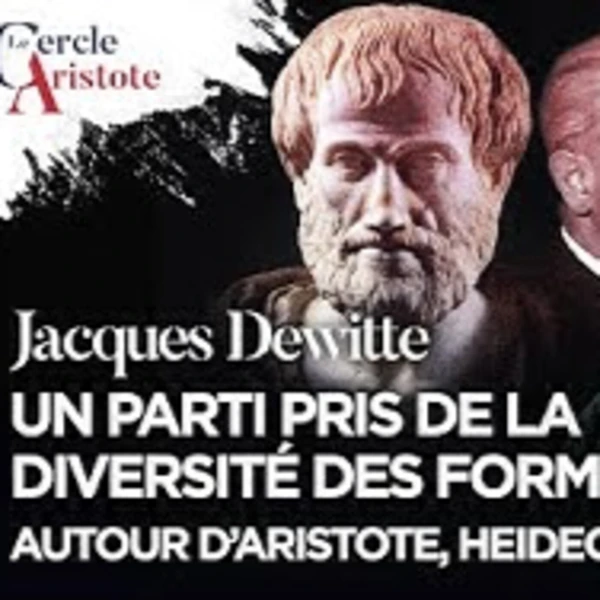 Un parti pris de la diversité des formes : Aristote, Heidegger et Arendt - J. Dewitte - # politique