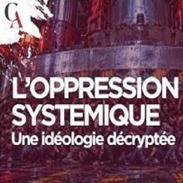 Utiliser les discriminations et dominer : L'idéologie des oppressions systémiques - P. Lornac - # politique
