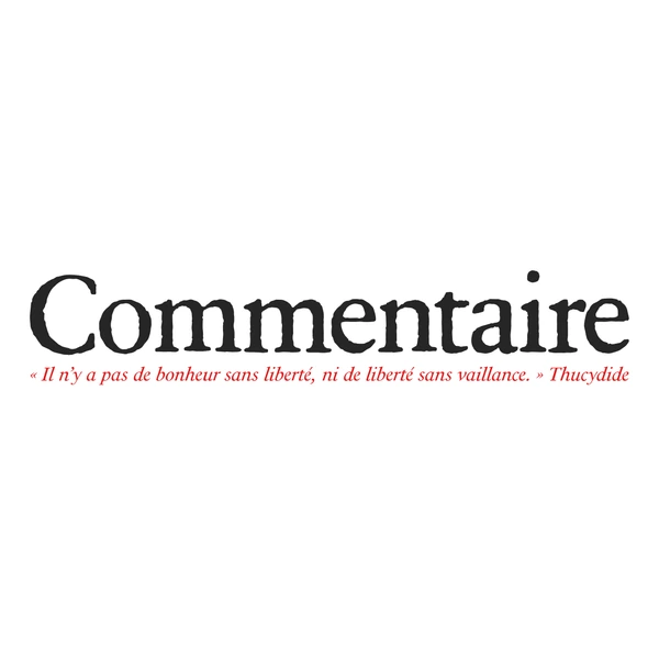 Commentaire