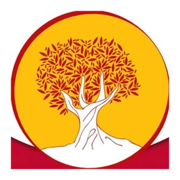 Ligue du Sud