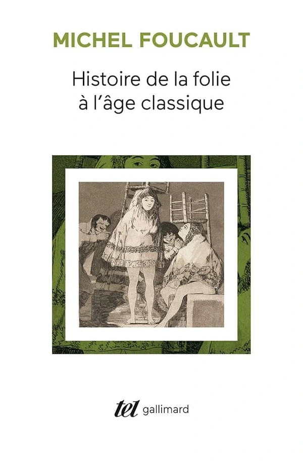 Folie et déraison. Histoire de la folie à l'âge Classique
