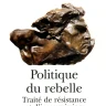 Politique du rebelle