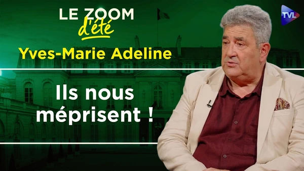 2027 : la culture, grande oubliée - Zoom d'été - Yves-Marie Adeline - TVL