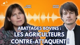 Action collective historique : agriculteurs et consommateurs unissent leurs forces contre l’UE