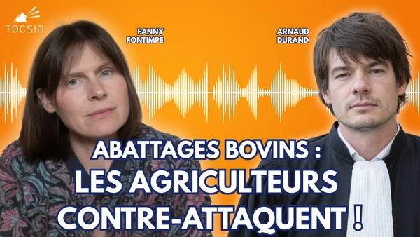 Action collective historique : agriculteurs et consommateurs unissent leurs forces contre l’UE