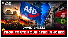 AfD à 44 % : Le cordon sanitaire allemand est en train d’exploser - David Engels