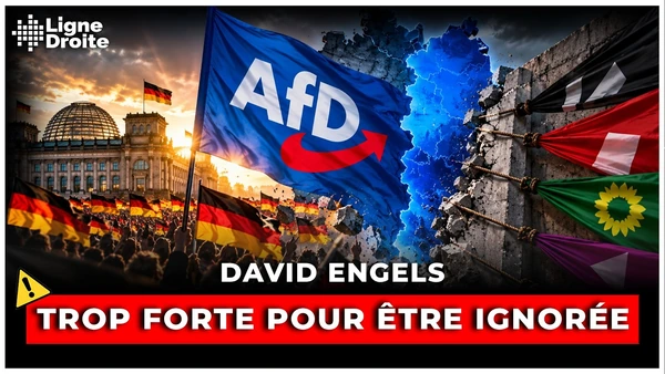 AfD à 44 % : Le cordon sanitaire allemand est en train d’exploser - David Engels