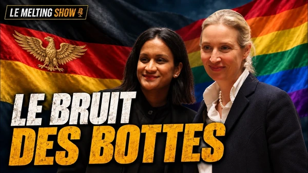🔴 AFD : le retour du NAZISME ? - Sarah Knafo pour la Remigration !