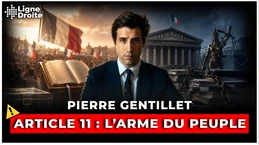 Article 11 : le référendum que Marine Le Pen peut (et doit) utiliser - Pierre Gentillet Article 11 : le référendum que Marine Le Pen peut (et doit) utiliser - Pierre Gentillet