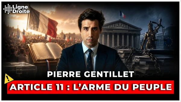 Article 11 : le référendum que Marine Le Pen peut (et doit) utiliser - Pierre Gentillet