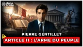 Article 11 : le référendum que Marine Le Pen peut (et doit) utiliser - Pierre Gentillet Article 11 : le référendum que Marine Le Pen peut (et doit) utiliser - Pierre Gentillet