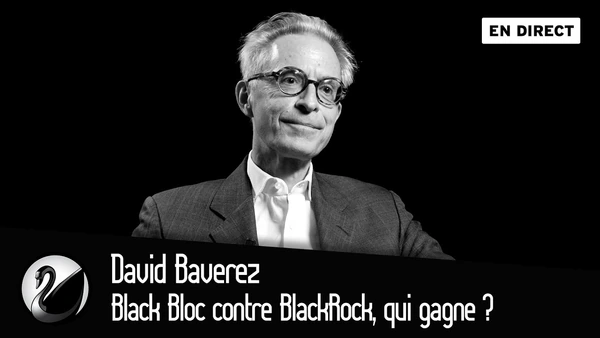 Black Bloc contre BlackRock, qui gagne ? David Baverez [EN DIRECT]