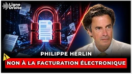 Boycottez la facturation électronique : danger mortel pour nos entreprises - Philippe Herlin Boycottez la facturation électronique : danger mortel pour nos entreprises - Philippe Herlin