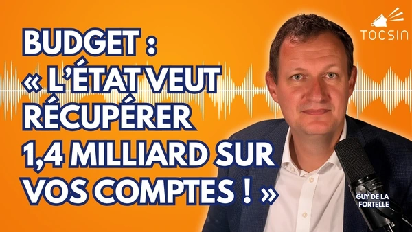 BUDGET 2027 : L'État NE fait PAS d'économies, il vous fait les poches - Guy de la Fortelle