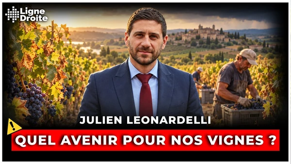 Canicule, manque d’eau, grêle : Les vignerons sont résignés… mais déterminés - Julien Leonardelli
