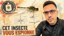 Ce drone-espion de la CIA a plus de 50 ans... et c'est encore une masterclass Ce drone-espion de la CIA a plus de 50 ans... et c'est encore une masterclass