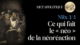 Ce qui fait le « néo » de la néoréaction (partie 3/3)  – Technologie et pathologie de l’âme