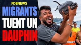 Ceuta : scandale autour d'un bébé dauphin