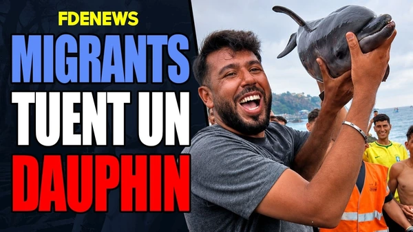 Ceuta : scandale autour d'un bébé dauphin