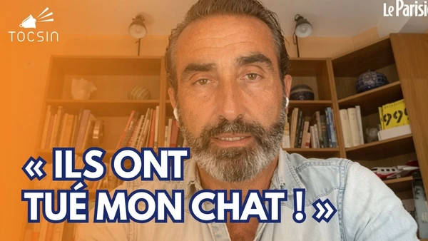 Chat écrasé par un train : ce qu’il dit ne va pas vous plaire – Alexandre Cuignache