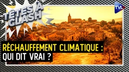 Climat : entre fatalisme et culpabilité, qui a raison ? Têtes à Clash - TVL