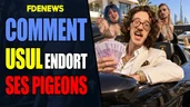 Comment usul et la zawa ont endormi le pognon des pigeons