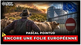 Coupe-feu contre les incendies : une règle européenne complique la vie des éleveurs