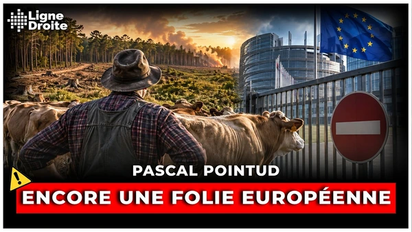 Coupe-feu contre les incendies : une règle européenne complique la vie des éleveurs